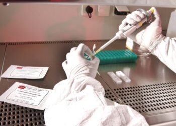 Эбола в Конго выходит из-под контроля: вспышка охватывает новые регионы