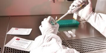 Эбола в Конго выходит из-под контроля: вспышка охватывает новые регионы