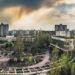 Чорнобильські поля смерті: на Київщині викрили мільйонну земельну схему