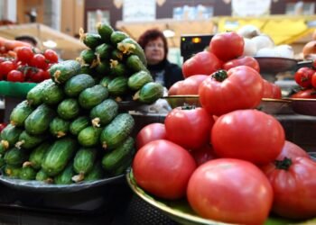 Три сценарії: наскільки подорожчає продуктовий кошик в Україні влітку 2026