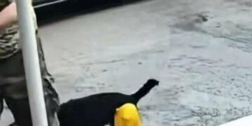 Гаражний скандал: киянин дістав пістолет під час сварки