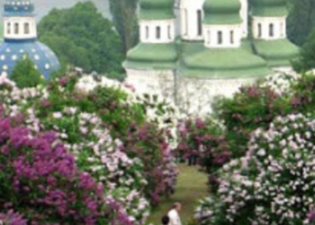 Еко-знахідка в зелених зонах Києва: що найчастіше фотографують, – ФОТО