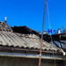 Крики у вогні на Київщині: рятувальники оточили зону підвищеної небезпеки, – ФОТО