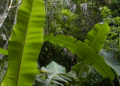 Куточок Африки в Київзоо: дикі тварини вийшли на прогулянку, – ФОТО
