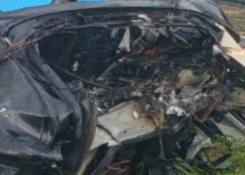 Смертельний виїзд з траси: київська блогерка загинула у вогні