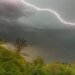 Небезпечна погода: у Києві оголосили штормове попередження
