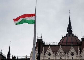 Венгрия открыла рынок для украинского зерна и мяса
