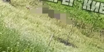Крики і сирени: у Києві жінка випала з багатоповерхівки