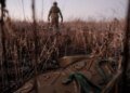 Легализация статуса за семь дней: Минобороны обнародовало временные рамки для военных в СЗЧ