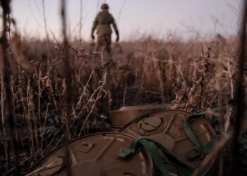 Легализация статуса за семь дней: Минобороны обнародовало временные рамки для военных в СЗЧ