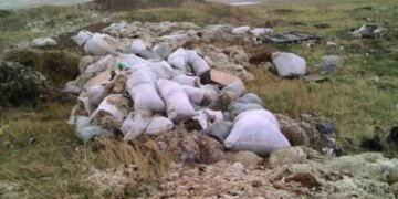 Биологическая мина Кремля: оккупанты завозят зараженные сибирской язвой туши на курорты Херсонщины – ГУР