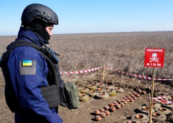 Після загибелі двох співробітників на Херсонщині NPA призупинила розмінування в Україні