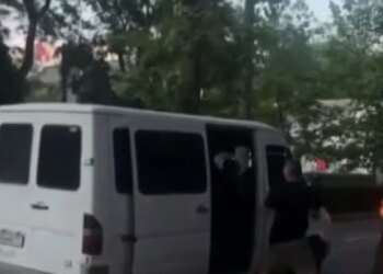 В Одессе сотрудники ТЦК «мобилизовали» собаку и покалечили её — видео разлетелось по сети. ВИДЕО