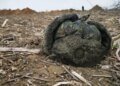 Российские солдаты на фронте в Украине гибнут за 20–35 минут, – BILD