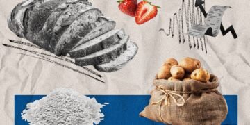 Яйця дорожчають: свіже порівняння цін в українських супермаркетах 18 червня