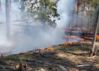 Вогонь у Чорнобилі виходить з-під контролю: дим уже заходить у Київ