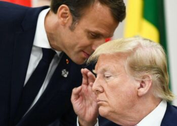 Politico: Зеленского зовут на саммит G7, чтобы показать Трампу успехи Украины