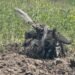 В Харькове фото сбитого дрона обернулось трагедией