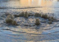 Водяна прірва в Києві: яку вулицю затопило, – ВІДЕО
