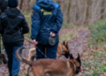 Десятки людей, шахеди і собаки: на Київщині тривала пошукова операція, – ФОТО