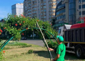 Масштабне озеленення Києва: де побачити райські куточки природи, – ФОТО