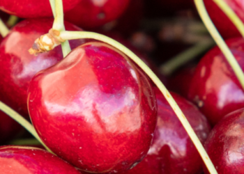 Великі черги на вулицях: у Києві почався смачний weekend
