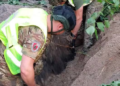 Удар із неба – падіння із вибухом: в Києві перекрили небезпечну зону, – ФОТО