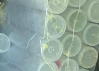 Десятки закладок у лісосмузі: у Києві зірвали схему збуту наркотиків