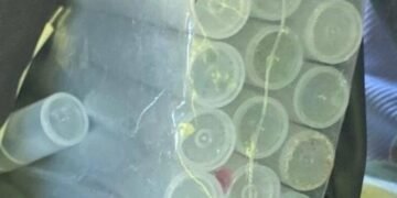 Десятки закладок у лісосмузі: у Києві зірвали схему збуту наркотиків