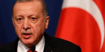 Эрдоган обратился к союзникам по НАТО с обращением по поводу войны в Украине
