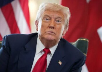 "Я чудово виспався. Ти теж?” – кіт прем’єра Бельгії поглузував з Трампа після перемоги бельгійської збірної на ЧС проти США