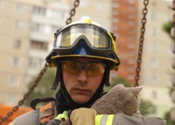 "Є місце для добра". У Києві врятували кота з пошкодженої квартири після обстрілу рф