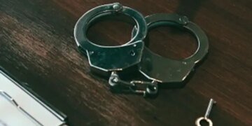 Кричав, бив та залишив у спеку без води: киянин може сісти до в'язниці на три роки за вбивство собаки