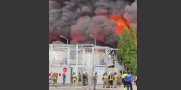 Эффект домино: украинские дроны остановили комбайны на Кубани