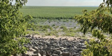 Оккупанты активизировались и готовят новое наступление: названо направление