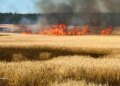 Пшеничное поле, дома, грузовик: что пострадало в Черниговской области от атак дронов. ФОТО
