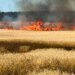 Пшеничное поле, дома, грузовик: что пострадало в Черниговской области от атак дронов. ФОТО