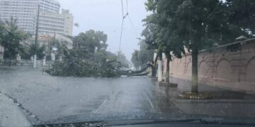Одесу накрила потужна злива: підтоплення, перекриті вулиці та зміна руху транспорту