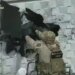 Полиция спасла одесситов от 50 килограммов российской взрывчатки в крыше