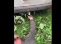 В Хмельницкой области мужчину приковали наручниками к машине во время мобилизации: Лубинец вмешался. ВИДЕО