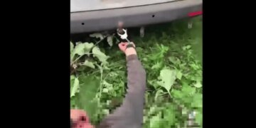 В Хмельницкой области мужчину приковали наручниками к машине во время мобилизации: Лубинец вмешался. ВИДЕО