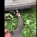 В Хмельницкой области мужчину приковали наручниками к машине во время мобилизации: Лубинец вмешался. ВИДЕО