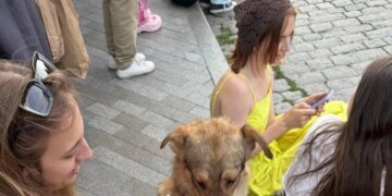 Невероятное спасение: напуганная взрывами собака в Одессе сама пришла к людям и вернулась домой