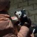 Из-за войны без вести пропали 2 365 детей, – данные полиции