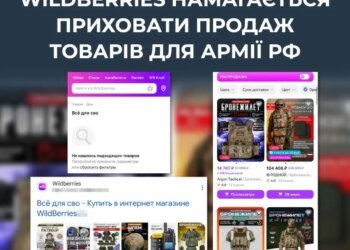 Wildberries не припинив продаж товарів для російської армії – ЦПД