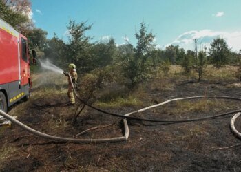 У Голосіївському районі Києва через атаку російського БпЛА вигоріло 1200 кв. м сухої трави – ДСНС