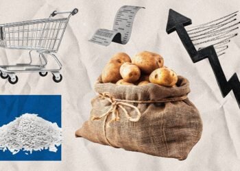 Де знайти найдешевші яйця та хліб: супермаркети показали нові ціни на продукти 2 липня