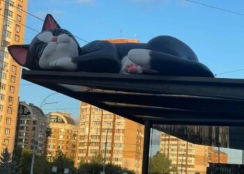 Чому на зупинках Києва з’явилися величезні коти: у КМДА дали відповідь