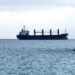 В Адміністрації портів зробили заяву про роботу морського коридору під ударами РФ