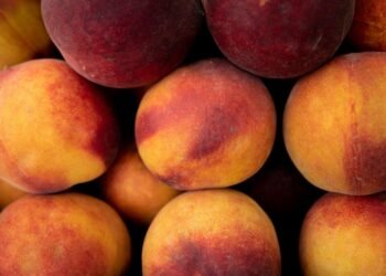 Свіжі овочі, фрукти та фермерська продукція: у Києві стартують сезонні ярмарки